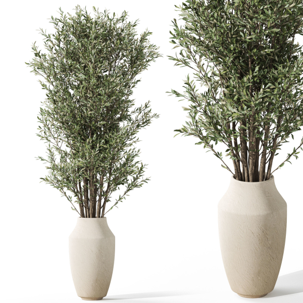 Plants collection 1052