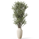 Plants collection 1052