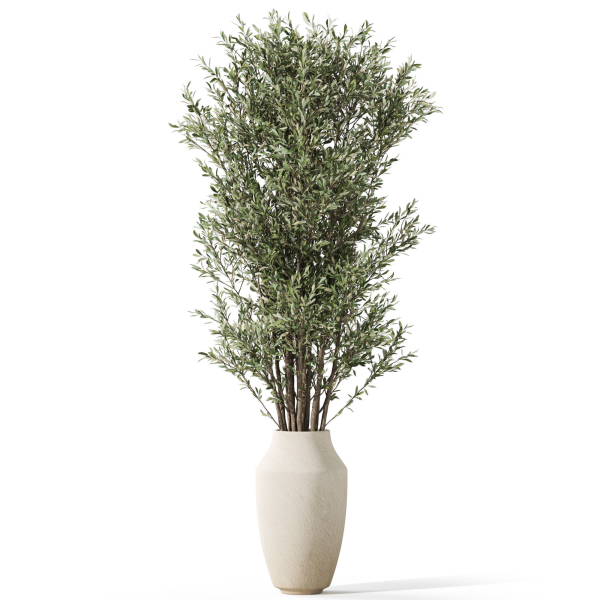 Plants collection 1052