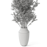 Plants collection 1052