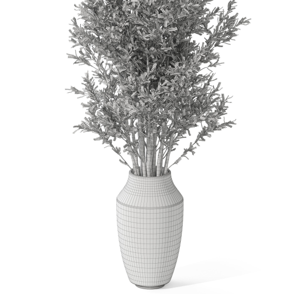 Plants collection 1052