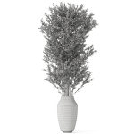 Plants collection 1052