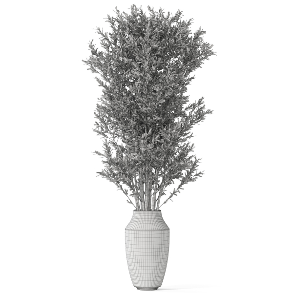 Plants collection 1052