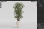 Plants collection 1052