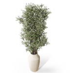 Plants collection 1052