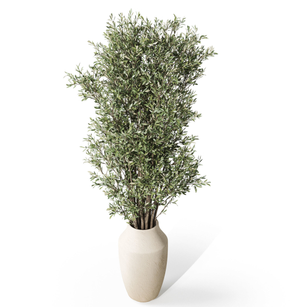 Plants collection 1052