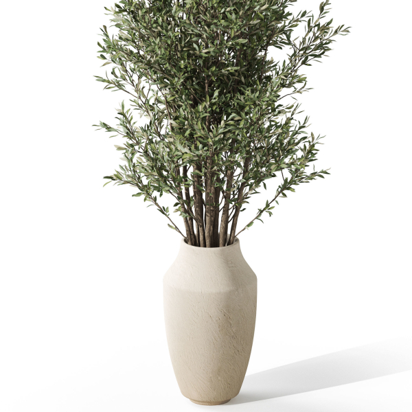 Plants collection 1052