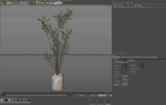 Plants collection 1053