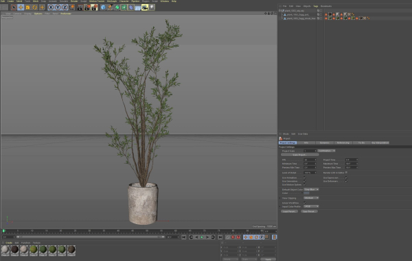 Plants collection 1053