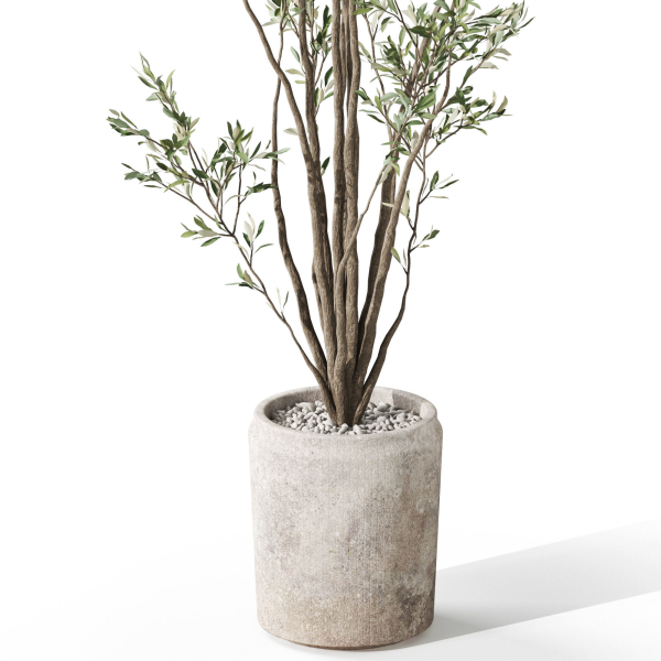 Plants collection 1053