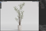Plants collection 1053