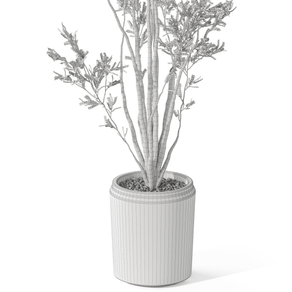Plants collection 1053