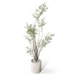 Plants collection 1053