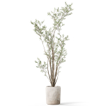 Plants collection 1053