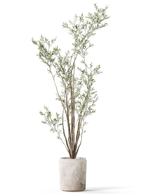 plants-collection-1053-3d-model-cf18bf7e98