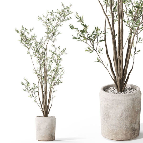 Plants collection 1053
