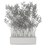 Plants collection 1054