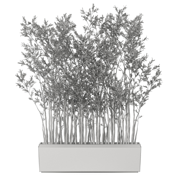 Plants collection 1054