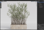 Plants collection 1054