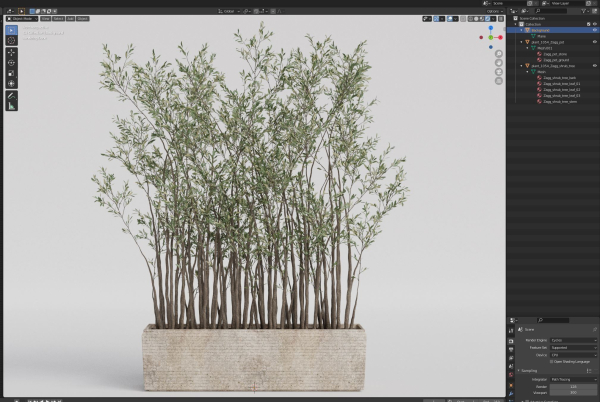 Plants collection 1054