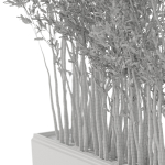 Plants collection 1054