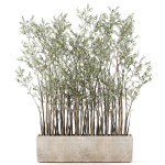 Plants collection 1054