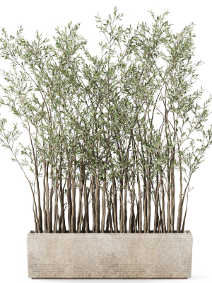 plants-collection-1054-3d-model-3dfeb97748