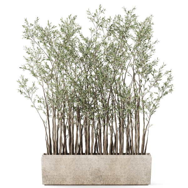 Plants collection 1054