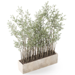 Plants collection 1054