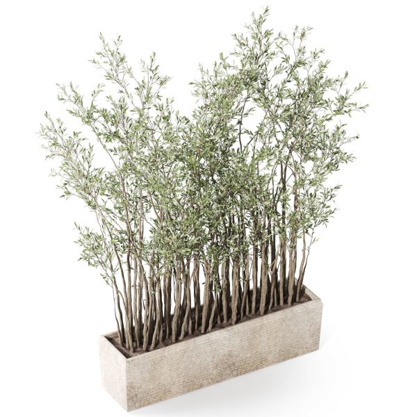Plants collection 1054