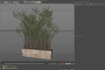Plants collection 1054