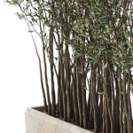 Plants collection 1054