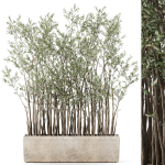 Plants collection 1054