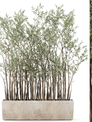 Plants collection 1054