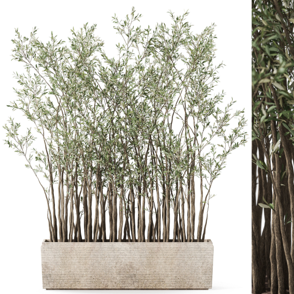 Plants collection 1054