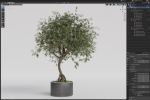 Plants collection 1055
