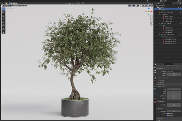 Plants collection 1055