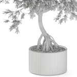 Plants collection 1055