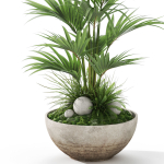 Plants collection 1056