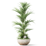 Plants collection 1056