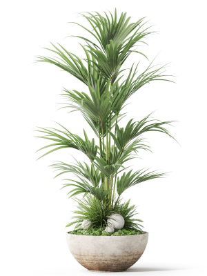 plants-collection-1056-3d-model-4cda71e8a0