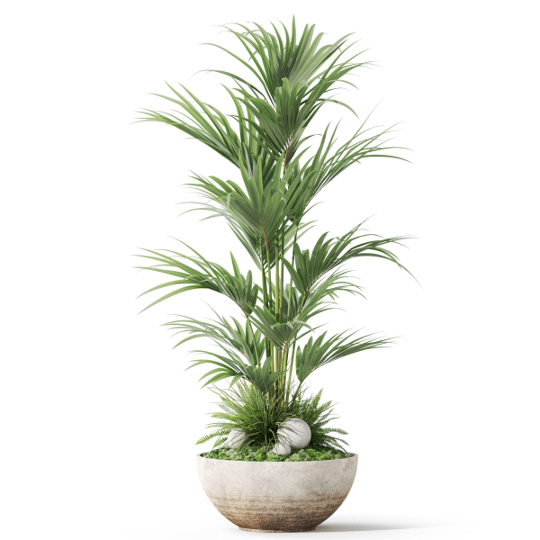 Plants collection 1056