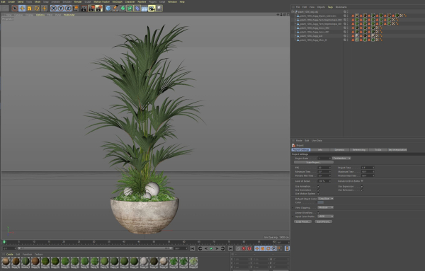 Plants collection 1056