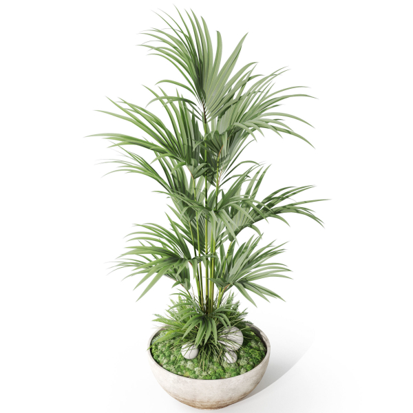 Plants collection 1056