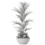 Plants collection 1056