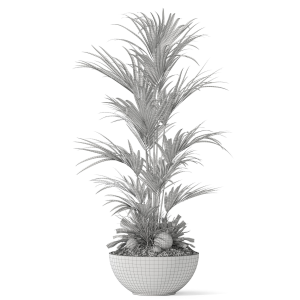 Plants collection 1056