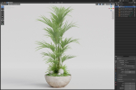 Plants collection 1056