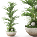 Plants collection 1056