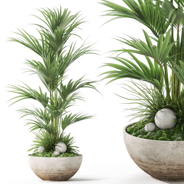 Plants collection 1056