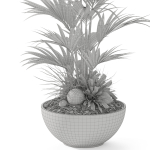 Plants collection 1056